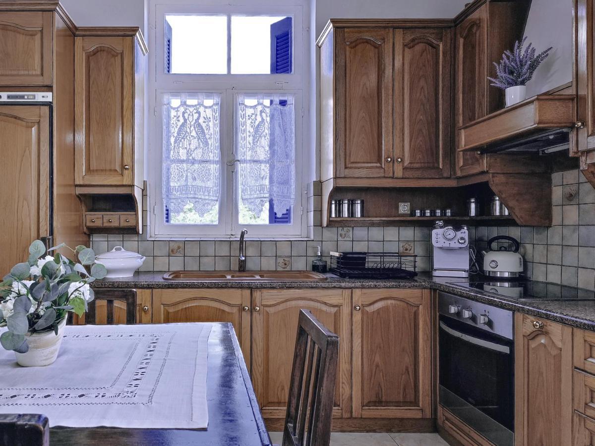 Anticlea I Villa Vathy  Exterior foto
