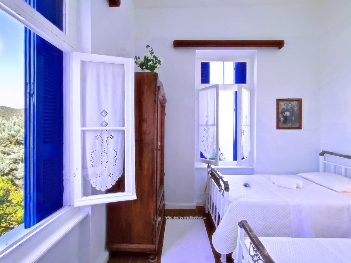 Anticlea I Villa Vathy  Exterior foto